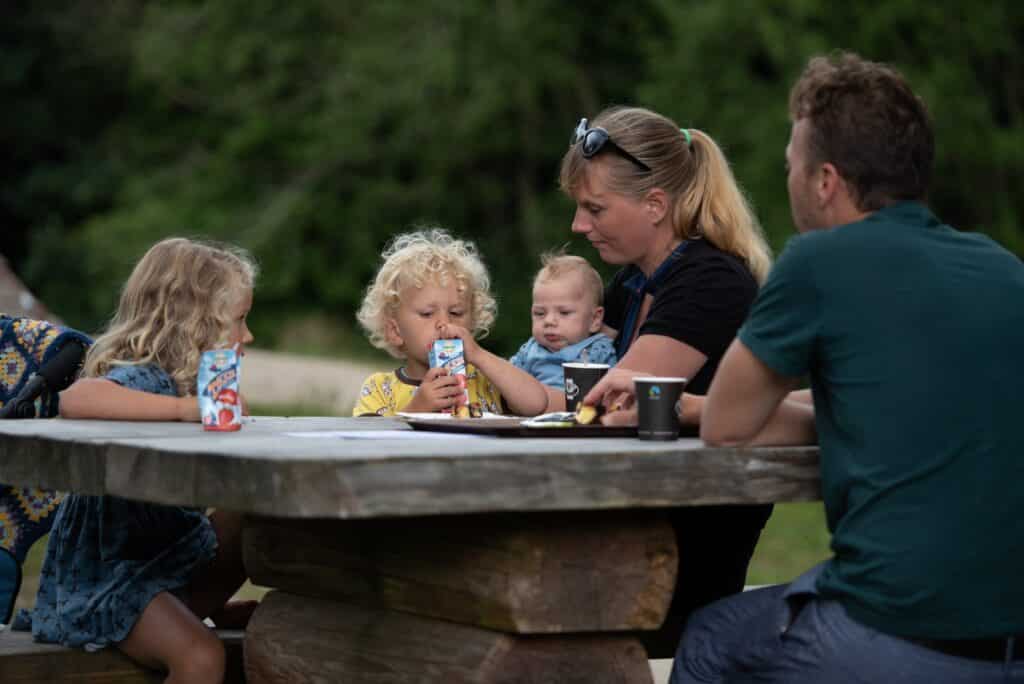 Gezin aan een picknicktafel