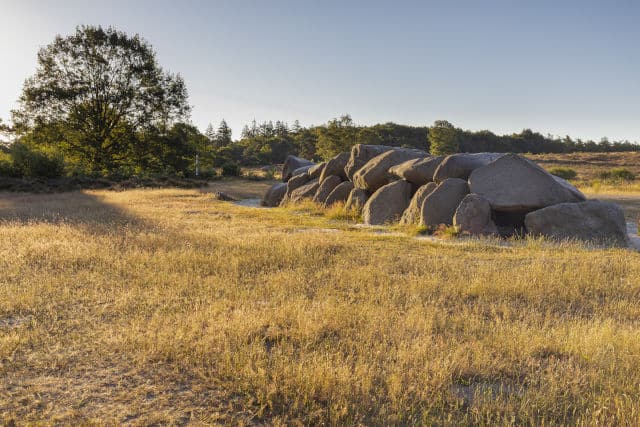 Hunebed op de heide en mensen. Hunebed D40 bij Valtherbos